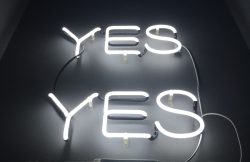 white yes LED signages